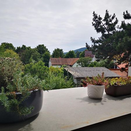 Spacy Apartment Next To The Center Of Graz With Terrasse Exteriér fotografie