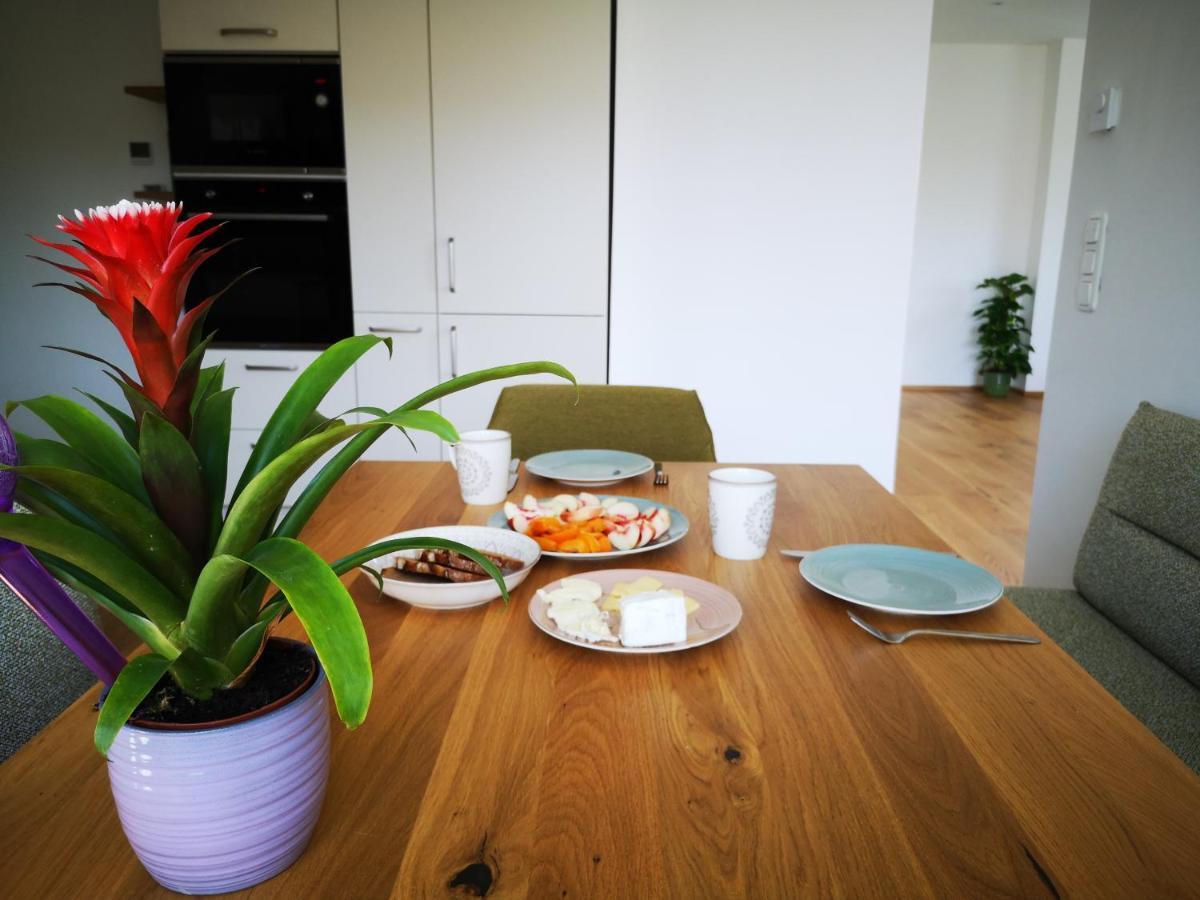 Spacy Apartment Next To The Center Of Graz With Terrasse Exteriér fotografie